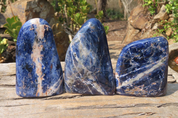 Polished Sodalite Standing Free Forms x 3 From Kunene River, Namibia