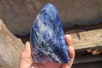 Polished Sodalite Standing Free Forms x 3 From Kunene River, Namibia