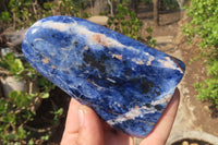 Polished Sodalite Standing Free Forms x 3 From Kunene River, Namibia