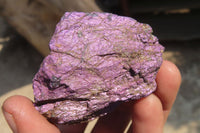 Natural Metallic Purpurite Cobbed Specimens x 12 From Erongo, Namibia