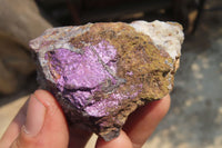 Natural Metallic Purpurite Cobbed Specimens x 12 From Erongo, Namibia