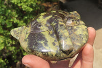 Polished Leopard Stone Cat Face Carvings x 3 From Zimbabwe