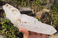 Natural Etched Clear Quartz Crystal Specimens x 2 From Madagascar