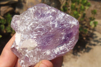 Natural Window Amethyst Quartz Crystals x 4 From Madagascar