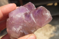 Natural Window Amethyst Quartz Crystals x 4 From Madagascar