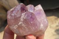 Natural Window Amethyst Quartz Crystals x 4 From Madagascar