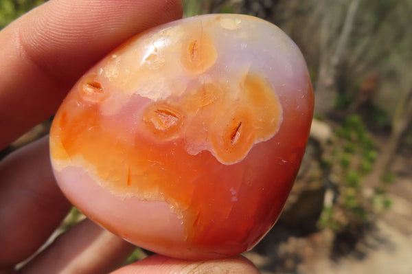 Polished Carnelian Palm Stones x 35 From Madagascar