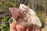 Natural Hematoid Quartz Crystals x 12 From Karoi, Zimbabwe