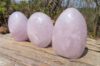 Polished Blue Rose Quartz Standing Free Forms x 3 From Madagascar