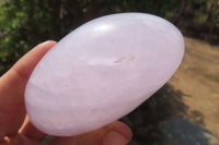 Polished Blue Rose Quartz Standing Free Forms x 3 From Madagascar