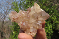 Natural Hematoid Quartz Crystals x 12 From Karoi, Zimbabwe