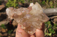 Natural Hematoid Quartz Crystals x 12 From Karoi, Zimbabwe