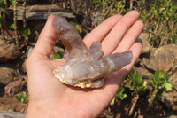 Natural Hematoid Quartz Crystals x 12 From Karoi, Zimbabwe