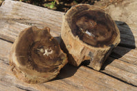 Polished Petrified Wood Branch Pieces x 3 From Gokwe, Zimbabwe