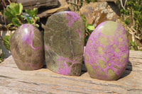 Polished Stichtite Standing Free Forms x 3 From Barberton, South Africa