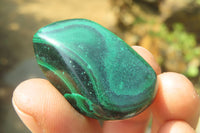 Polished Flower Banded Malachite Free Forms x 35 From Congo