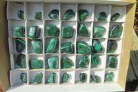 Polished Flower Banded Malachite Free Forms x 35 From Congo