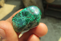 Polished Flower Banded Malachite Free Forms x 35 From Congo