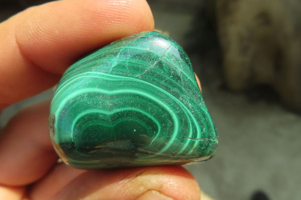 Polished Flower Banded Malachite Free Forms x 35 From Congo