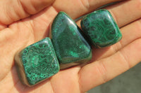 Polished Flower Banded Malachite Free Forms x 35 From Congo