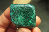 Polished Flower Banded Malachite Free Forms x 35 From Congo