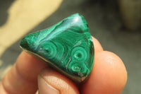 Polished Flower Banded Malachite Free Forms x 35 From Congo