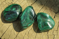 Polished Flower Banded Malachite Free Forms x 35 From Congo