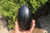 Polished Black Tourmaline Standing Free Form x 1 From Madagascar