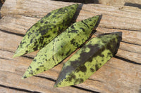 Polished Double Terminated Leopard Stone Points x 3 From Zimbabwe