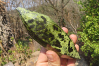 Polished Double Terminated Leopard Stone Points x 3 From Zimbabwe