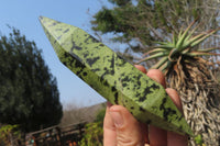 Polished Double Terminated Leopard Stone Points x 3 From Zimbabwe