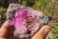 Natural Salrose Cobaltion Dolomite Specimens x 6 From Kakanda, Congo