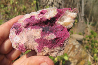 Natural Salrose Cobaltion Dolomite Specimens x 6 From Kakanda, Congo