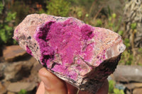 Natural Salrose Cobaltion Dolomite Specimens x 6 From Kakanda, Congo