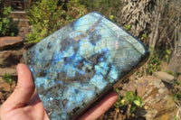 Polished Labradorite Standing Free Form x 1 From Tulear, Madagascar