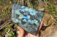 Polished Labradorite Standing Free Form x 1 From Tulear, Madagascar