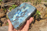 Polished Labradorite Standing Free Form x 1 From Tulear, Madagascar