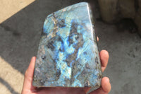 Polished Labradorite Standing Free Form x 1 From Tulear, Madagascar