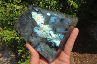 Polished Labradorite Standing Free Form x 1 From Tulear, Madagascar