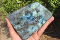 Polished Labradorite Standing Free Form x 1 From Tulear, Madagascar