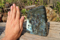 Polished Labradorite Standing Free Form x 1 From Tulear, Madagascar