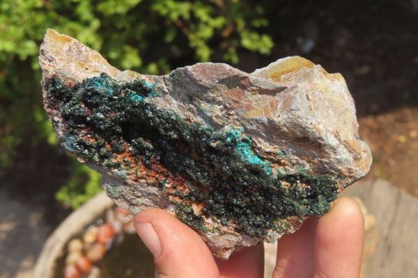 Natural Libethenite Crystals On Dolomite Matrix Specimens x 2 From Shituru, Congo