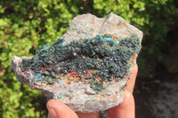 Natural Libethenite Crystals On Dolomite Matrix Specimens x 2 From Shituru, Congo