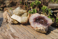 Natural Zululand Amethyst Geodes x 2 from Jozini, South Africa