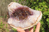 Natural Zululand Amethyst Geodes x 2 from Jozini, South Africa