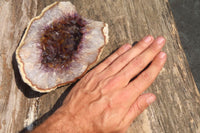 Natural Zululand Amethyst Geodes x 2 from Jozini, South Africa