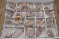 Natural Ametrine Spirit Quartz Clusters x 20 From Boekenhouthoek, South Africa