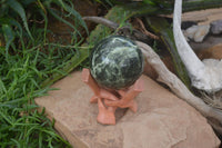 Polished Leopard Stone Sphere With Rosewood Stand x 2 From Zimbabwe