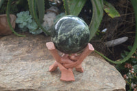 Polished Leopard Stone Sphere With Rosewood Stand x 2 From Zimbabwe