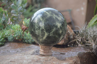 Polished Leopard Stone Sphere With Rosewood Stand x 2 From Zimbabwe